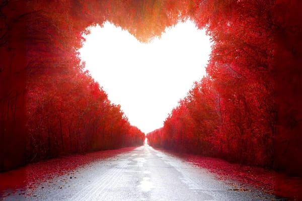 Creating Long-lasting Relationships: Understanding Attachment Theory to Promote More Conscious and Healthier Connections